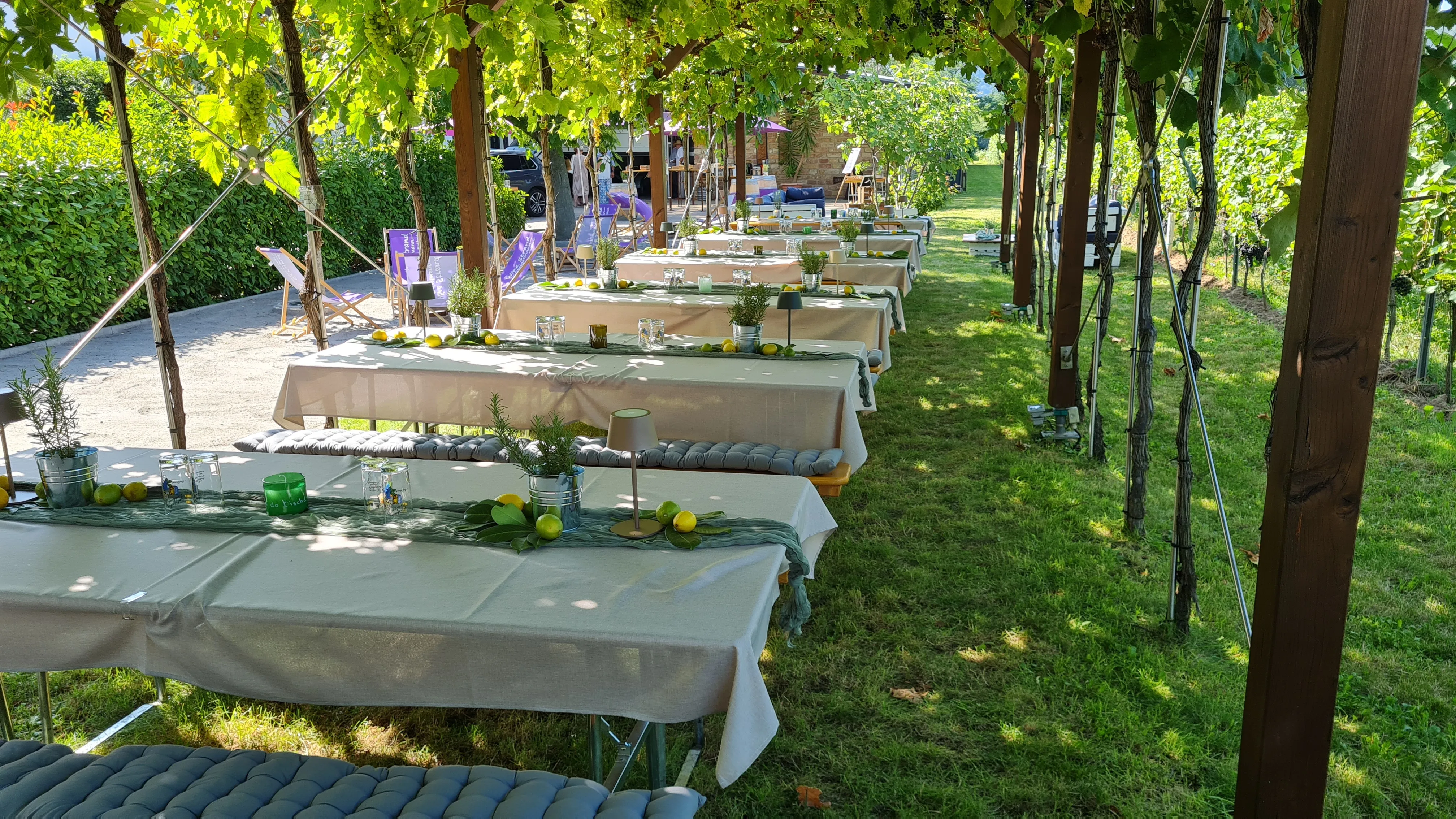 Altes Weingut Steigelmann